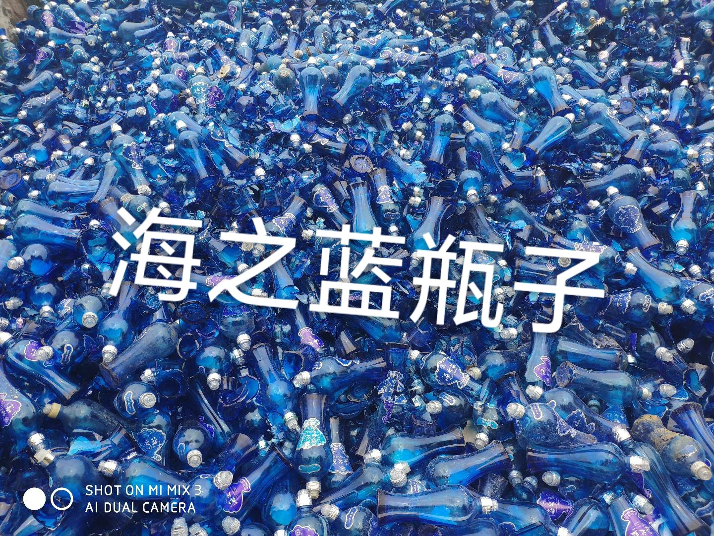 沛县海之蓝瓶回收